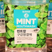 Free Delivery 노브랜드 구강청결제 민트향 800ml x 2통 NoBrand Mint Mouthwash 800ml x 2