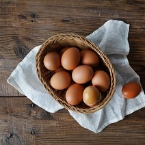 haccp구운달걀 상품추천