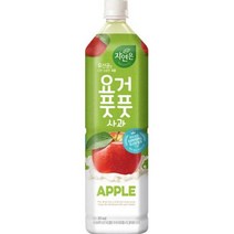 키워도 회의 미팅 회사 탕비실 사무실 간식 자연은 요거풋풋 사과 1.5L 페트 12개 1.5L, 1세트