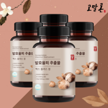 고말론 발효율피 추출물 맥스 플러스 정 1000mg x 60정, 4통+추가증정