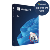 마이크로소프트 Windows 11 Pro FPP 한글, 단품