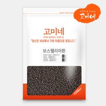 고미네 보스웰리아환 보스웰릭산, 300g, 1팩