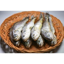 국내산 여수 섶간 참조기 1미 45g 소 사이즈 20미, 참조기 소소 20미 (팩당 4미 160g 내외) 5팩