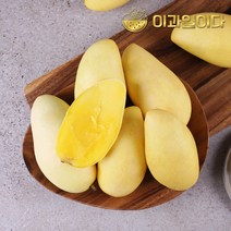 [이과일이다] 필리핀 카라바오 생망고 5kg 14과, 없음