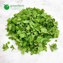 애플민트 100g, 1개