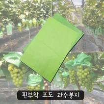 포도 재배용 포장지 포도봉지 샤인머스켓 수확 봉지 한지 과일 야채 100매, 중녹색 100매