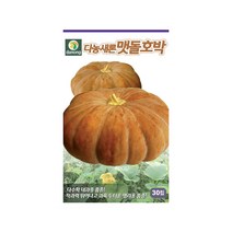 (DN) 새론 맷돌 호박 씨앗(30립)