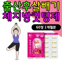 출산후 뱃살 턱살 다이어트 체지방컷팅제 가르시니아 급찐급빠 직장인 30대 40대 여성 여자 먹으면서 건강한 다이어트 보조제 단기간 살빼기 가르니시아 지방컷팅제 HCA 비타민 마름