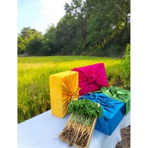 순수 새싹삼 [GAP] 중 100 뿌리 (20~25cm 내외) 1box 선물포장 가능 (오후 2시이전 주문시 당일발송), 선물 포장