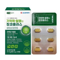 혈액순환개선 기억력개선 뇌 영양제 은행잎추출물 징코플러스, 1개, 1개