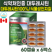 50대 60대 70대 식약처인증 캐나다 직수입 산 식물성 100% 대두 소이 레시틴 레시틴 레시친 non gmo 인지질 60% 포스파티딜콜린 포스파티콜린 혈중 콜레스테롤 개선 도움, 60캡슐X6박스(12개월분)