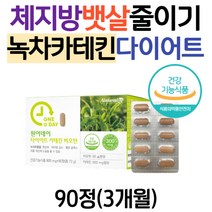 허벅지살 뱃살 체지방줄이는법 녹차 비오틴 다이어트 카테킨 내장지방 피하지방 복부지방 30대 40대 50대 중년 남자 여성 허벅지안쪽살 똥배 볼살 중아리살 얼굴살 빼기 빼는법