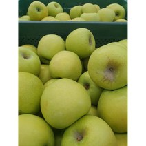 [백구농원] 시나노골드 황금사과 햇사과 경북사과 안동 청송 문경, 1박스, 5kg, 중과 16~22과