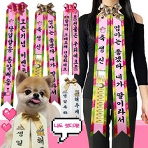인간화환 용돈화환 아기화환 결혼식 생일축하 이벤트 환갑 기념일 강아지 개업 꽃다발 선물