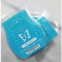 Scentsy Blue Grotto Three (3) 팩