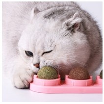 펫츠몬 투웨이 롤링 고양이 장난감 캣닢 + 마따따비 열매 + 캣닢 앤 마따따비 혼합, 1세트, 랜덤 발송