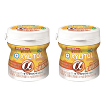 자기전에 양치후에 씹는 껌! 롯데 자일리톨 알파 프로폴리스 용기형 86g 2개