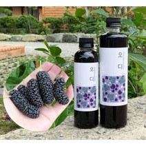 농부프린스 국내산 오디청 오디원액 오디즙 300ml 500ml