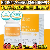 이산화규소 없는 식물 유래 비타민C 비타민씨 비타민시 유기농 원료 인디안 구스베리 추출물 무부형제 고용량 고함량 고농축 항산화 여성 남성 임산부 추천, 60정 x 2박스 (4개월분)