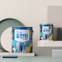 KCC 숲으로 올인원 0.9L 친환경페인트 실크벽지페인트 가구 방문 몰딩 철재 방화문, [유광]백색