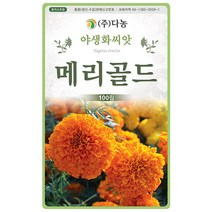메리골드 100립 메리골드씨 야생화 꽃씨 두리 씨앗 다농