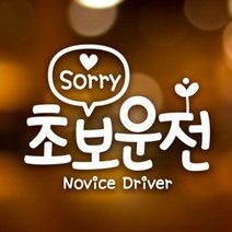 [천삼백케이] [제제데코] 문구 쏘리 초보 초보운전 자동차스티커 반사시트지, 소재:반사