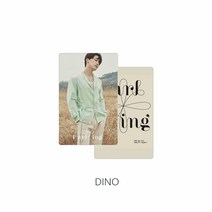 seventeen세븐틴 달링 굿즈 동일 스몰 카드, dion