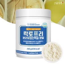분리유청단백질 소화잘되는 락토프리 분말 240g 유당제거 프로틴 파우더, 1병