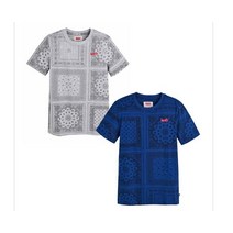 리바이스키즈 반다나프린트티셔츠 V222TS346 GR 동수원