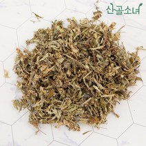산골소녀 국내산 약쑥 건조 애엽 사자발쑥, 100g