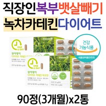 직장인 올챙이배 복부 뱃살빼기 녹차카테킨 다이어트 보조제 30대 40대 50대 내장지방 체지방 허벅지안쪽살 볼살 술배 똥배 허벅지살 빼는법 빼기 비오틴 에너지 중년 남자 여성