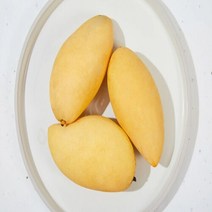 맛있는 고당도 태국 남독마이 골드망고 2.5kg 7과 내외, 단품