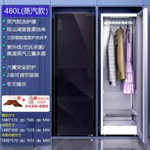 의류관리기 옷드라이 미국 완전 자동 스팀 다림질 의류 관리 기계 가정용 건조기 주름 제거 캐비닛, 11. 스팀 다림질 및 건조 모델 480L 라이 그레이
