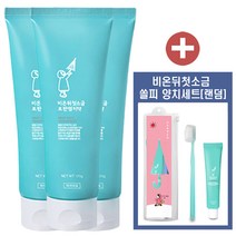 비온뒤첫소금 토판염치약 민트 120g, 3개