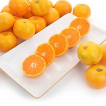 [농협] 제주 대과 노지감귤 2.5kg, 없음