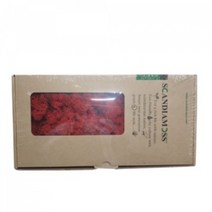 천연이끼 스칸디아모스 레드(150g) - 공기정화 기능 관리쉽고 그늘에서도 잘 자라는 인테리어 식물 취미 원데이 클래스 디퓨저 화분 만들기(4개 이상 주문배송)