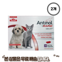 안티놀 래피드 강아지 고양이 관절영양제 노견 영양제 리뉴얼 제품 60정, 1개 60정