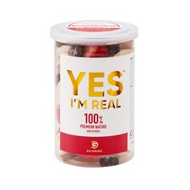 골드로니 예스아임리얼 필수하루과일5종 믹스 60g