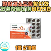 비타민B 코엔자임큐텐 혈암감소도움 보조제 영양제 노인 성장기 운동선수 건강 피로회복 운동능력상승 Q10 근육통 임신준비 임산부 출산선물 산모 코엔자임큐텐 식약처인증