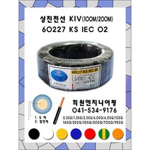 절단 KIV 상진전선 16SQ~95SQ (100M) 10M 단위 컷팅, 1롤, 95SQ (10M), 청