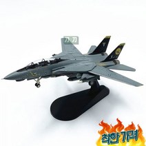 F14 전투기 모형 수송 항공모형 폭격기 합금 비행기, F-14B 해적기 중대 (AMER 불변익)