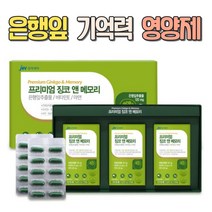 중외제약 징코앤메모리 뇌영양제 처방 머리좋아지는약 중학생 고등학생 수험생 할머니 할아버지