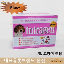 소화촉진 러시안블루 이그저틱 터키시반 플러스 스틱 셀커크렉스 발리네즈 봄베이 샴