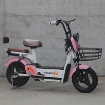 자토바이 전기팻바이크 삼륜 자전거 2인용 세발 가성비 배달용 신국표 이륜전동차 차학생 행사 선물차, 핑크, 납산 전지 48v12a35 달리기 킬로미터