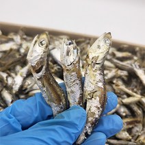통영남해 국물멸치 다시멸치 육수용 업소용 대멸치 1.5kg