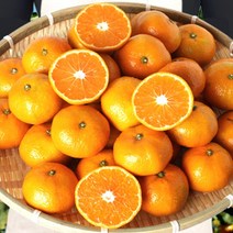 금귤 노지감귤 3kg 타이벡감귤, 가정용 3kg 로얄과 32-48과