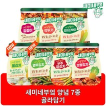 새미네부엌 김치양념 겉절이 오이소박이 깍두기 보쌈김치 신제품 열무김치 물김치 7종, 6개, 열무김치양념 240g