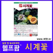 헬프팜 시계꽃 10립 패션후르츠 종자 아시아종묘