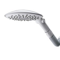 Waterpik CF-201 플렉스넥 레인 샤워 헤드 2.5 GPM 워터픽