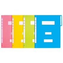 아주문구 특가판매 현풍산업 A4 PP 정부화일F4342-3, 10장, 하늘색